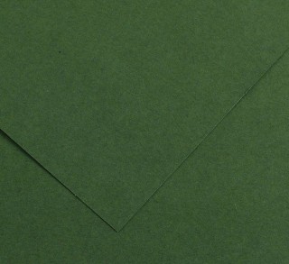 pack 50h cartulina iris a3 185gr ve amazonas