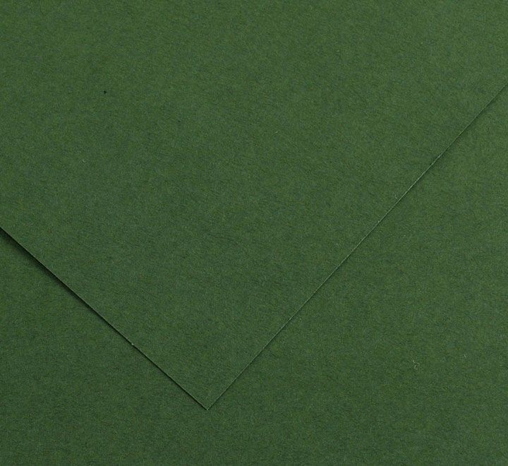 pack 50h cartulina iris a3 185gr ve amazonas