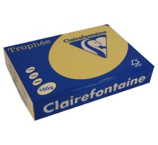 paq. 250h pap. trophee clf suave a4 160g ocre cl