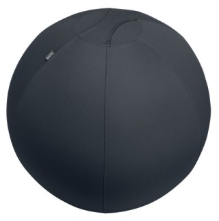 leitz active sitzball 55cm gris interior esferico