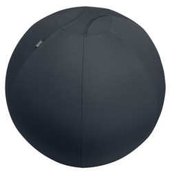 Leitz Active Sitzball 55cm...