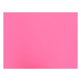 bolsa 25 cartulinas 185 gr 50 x 65 cm fucsia fabriano s3215609