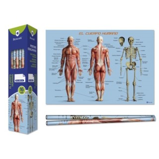 bismark poster cuerpo humano 70 x 100 cm
