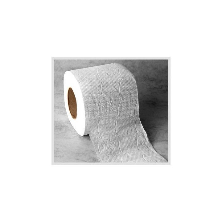 paquete 12 rollos papel higienico 2c higicel ce471