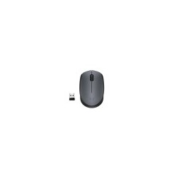 Raton Logitech M170...