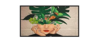 philips monitor philips 50 d-line / panel va 8bit d-led 16:9 / 3840x2160 500cd/m2 / 8ms / pixel pitc