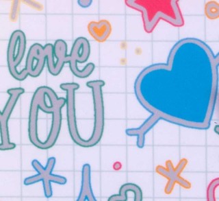 bl. 6 rotulad. apli doble linea stdo