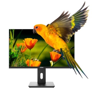 nilox monitor led 24pulgadas nilox nxm24reg02 va - hdmi - dp - vga - 75hz - 4ms - vesa 100 x 100 - r