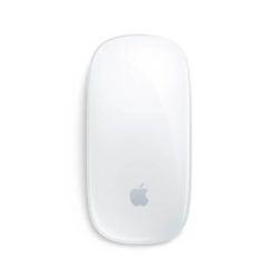 Apple Mouse Raton Apple...