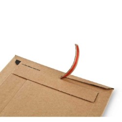 c.100 bolsas carton colompac 303x413mm marron