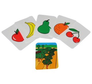 set 9 tarj. alimentos procedencia henbea 926