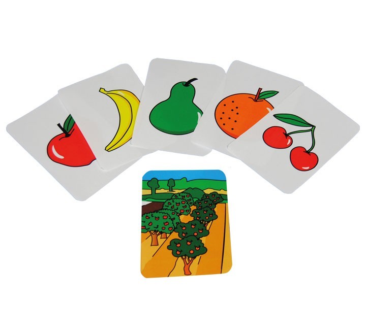 set 9 tarj. alimentos procedencia henbea 926