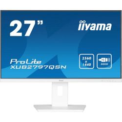 Iiyama Prolite...