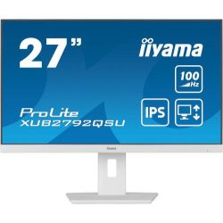 Iiyama Prolite...