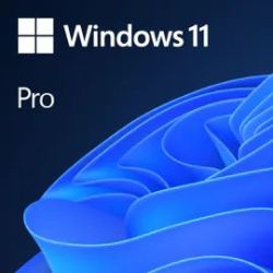 Microsoft Windows 11 Pro 1...