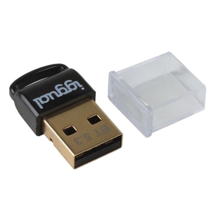 iggual adaptador usb 2.0 mini bluetooth 5.3
