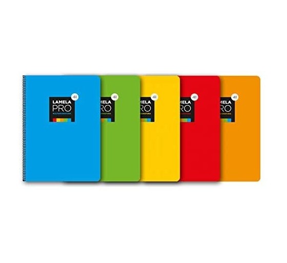 lamela cuaderno folio extra dura 100 hojas. 4 mm., surtidos lamela