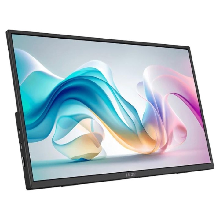 msi mp165 e6 monitor15.6ips fhd  portatil usbc mm