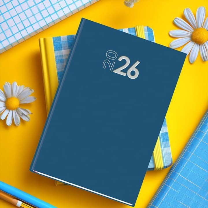 ag 26 myrga praxis d/p 14.5x21 azul cast