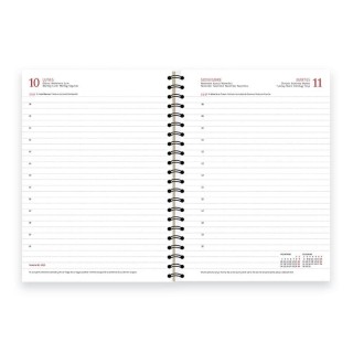 ag 26 myrga duenas d13 esp. d/p 14.5x21 az cast