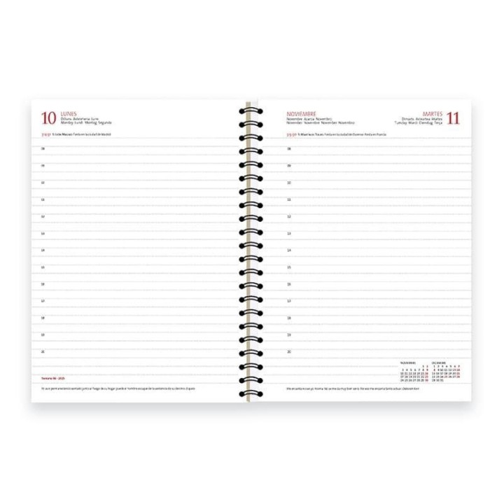 ag 26 myrga duenas d13 esp. d/p 14.5x21 az cast