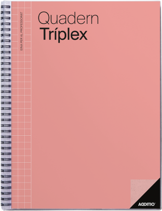cuaderno additio profe triplex cat p191