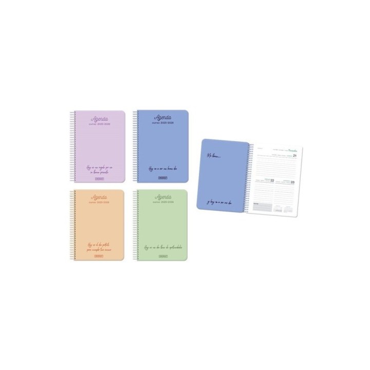 ingraf agenda escolar 2025 2026 positive 4o 2dia pagina tapa carton ingraf 333357