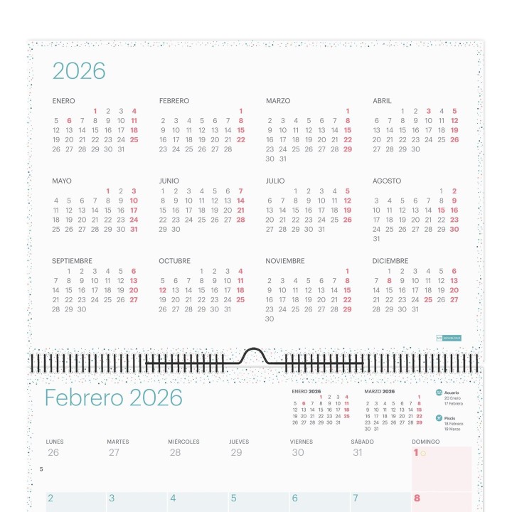 cale pared 26 mr lovely a3 cast