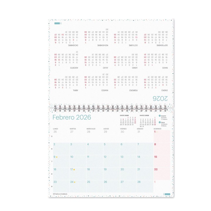 cale mesa 26 mr lovely a5