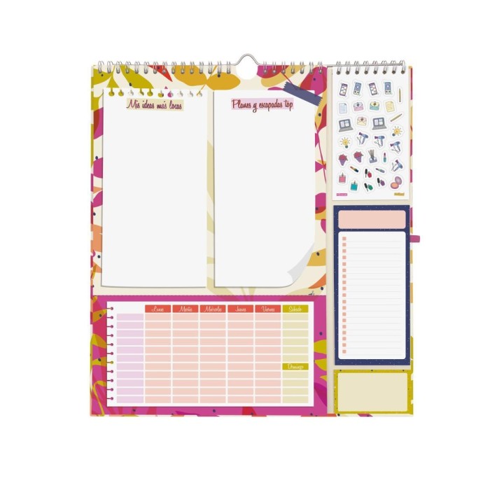 cale pared 26 finocam talkual plus