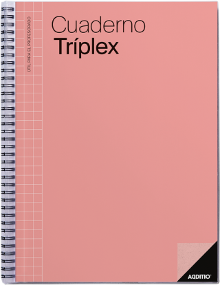 cuaderno additio profe triplex caste p192