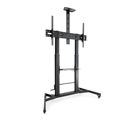 tooq tooq zeus 2,54 m  100  negro