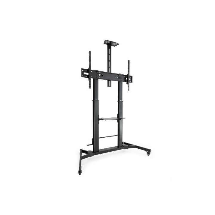 tooq tooq zeus 2,54 m  100  negro