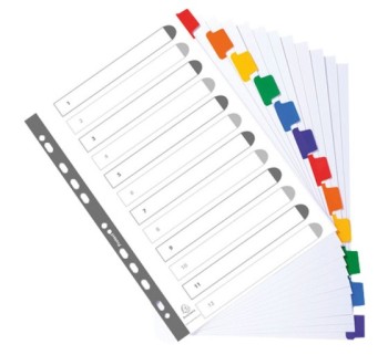 sep. cart. exacompta a4 12 pos. 160gr 2312e