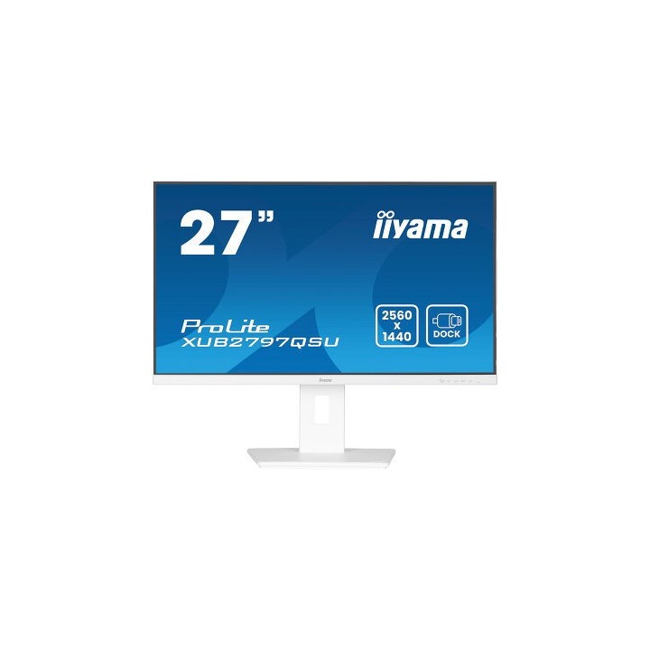 iiyama monitor iiyama 27 , ips, 1h 1dp, 2x3.2, 100hz, 300cd