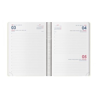 ag 26 dohe metropoli d/p 15x21 verde cast