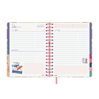 ag 26 finocam talkual 155x217 d/p ideas