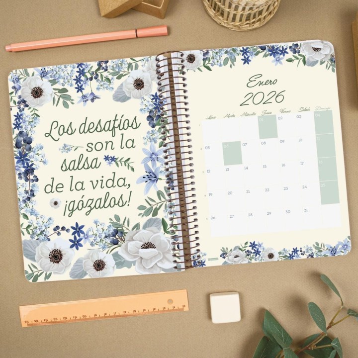 ag 26 finocam cloe 155x212 d/p marron cast