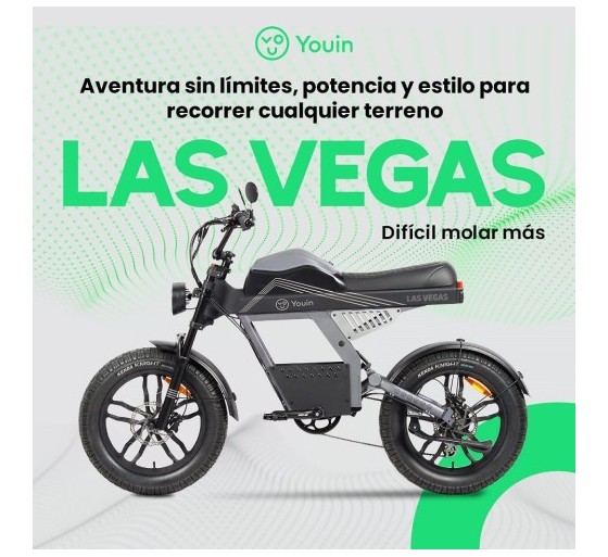 youin youin e bike urban style fat