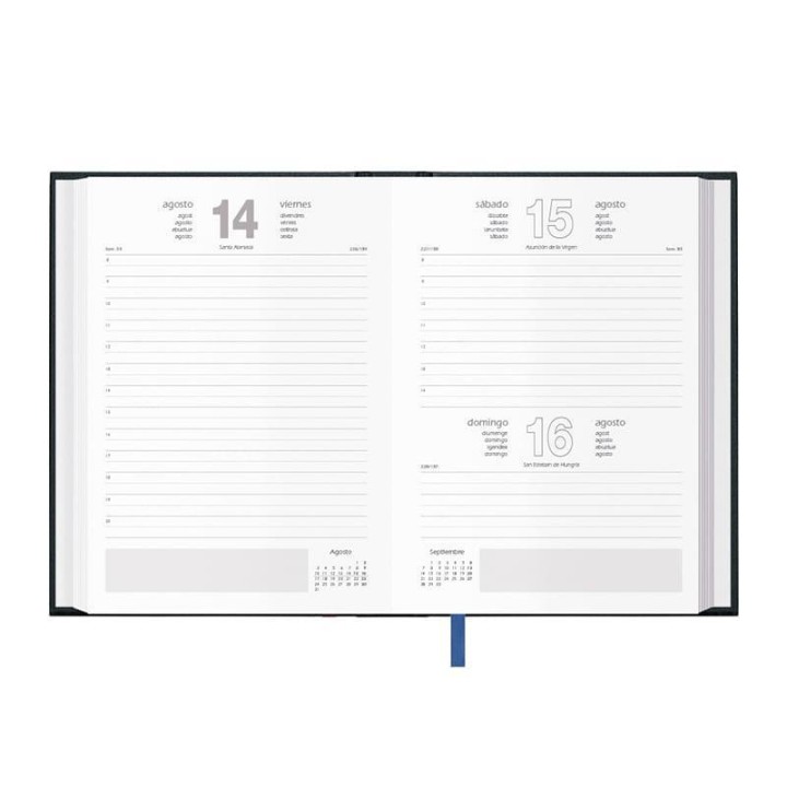 ag 26 dohe segovia d/p 14x20 neg cast