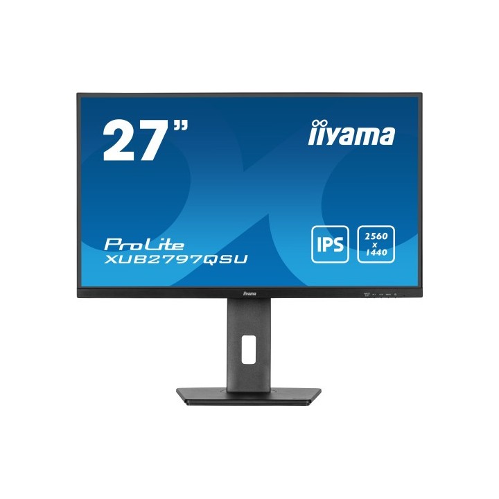 iiyama monitor iiyama ips. 1h 1dp, 2x3.2, 100hz, 300cd