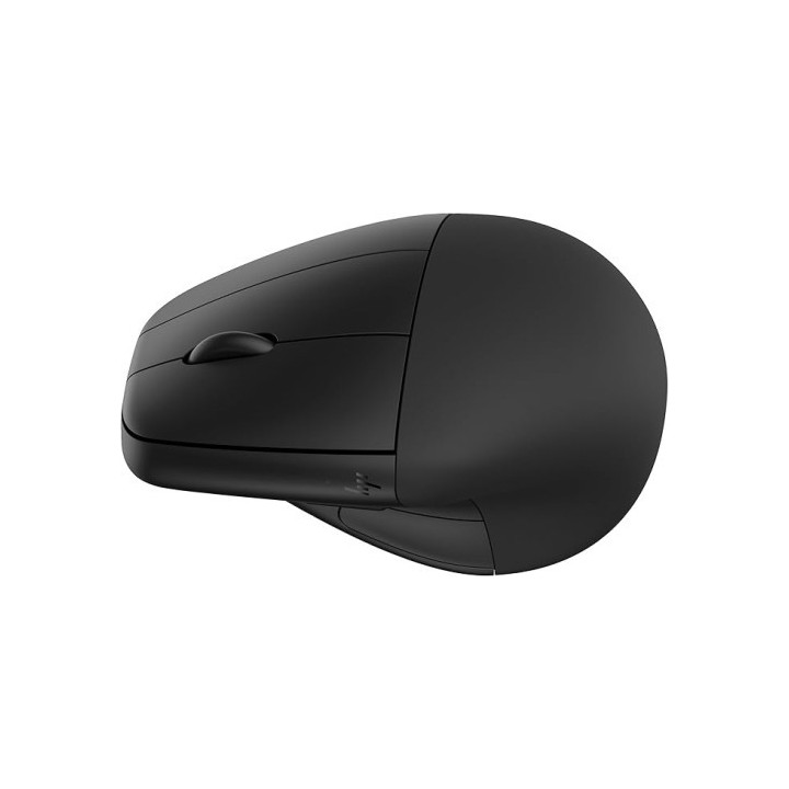 hp hp raton 245 bluetooth