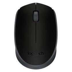 Raton Logitech M171...