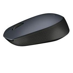 Raton Logitech M170...