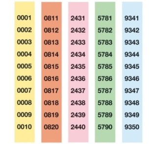 talon. apli rifa color 1 1000 a 980 210x30 12939