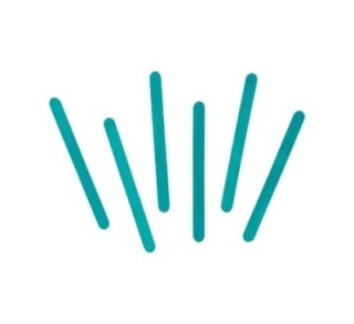 b. 50u palo innspiro madera 114x10 azul