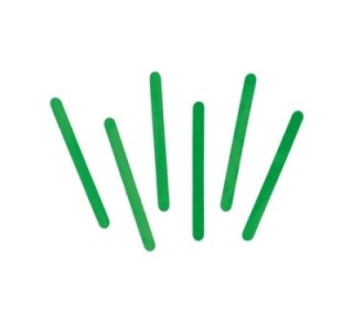 b. 50u palo innspiro madera 114x10 verde