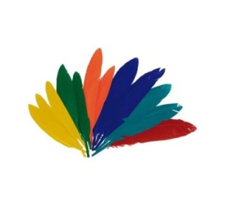 b. 60 plumas indio innspiro 25x140mm stdo