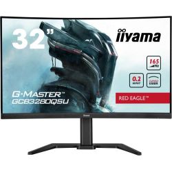 Iiyama G-master...