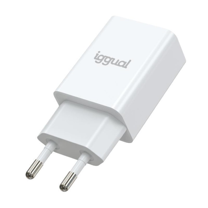 iggual cargador de pared 1xusb 5v/2a  10w